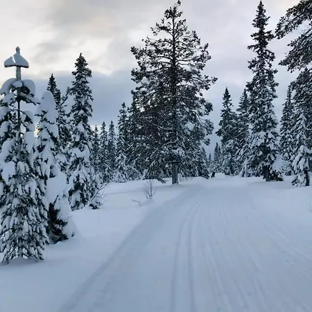 With Mountain View In Solberglia Ostby