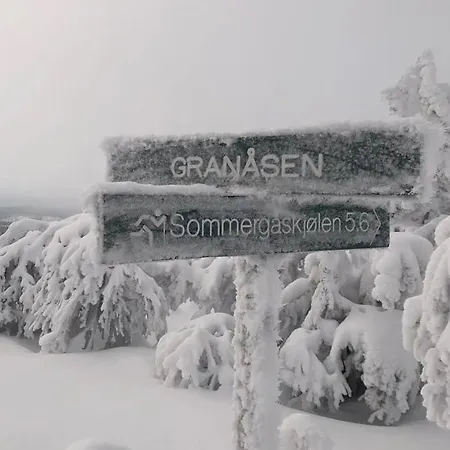 With Mountain View In Solberglia Holiday home *