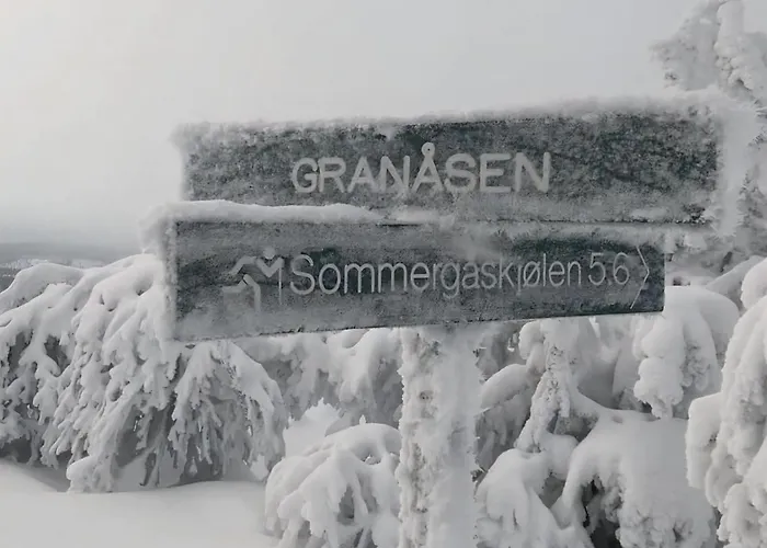 Cabin With Mountain View In Solberglia Hébergement de vacances Østby